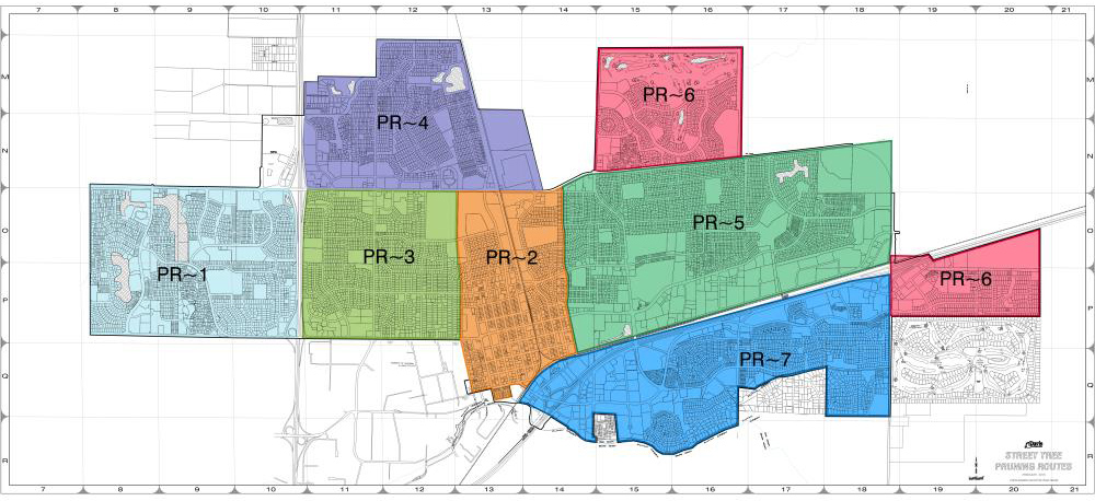 City_tree_pruning_route_map