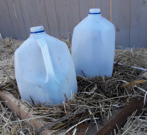 plastic milk jugs