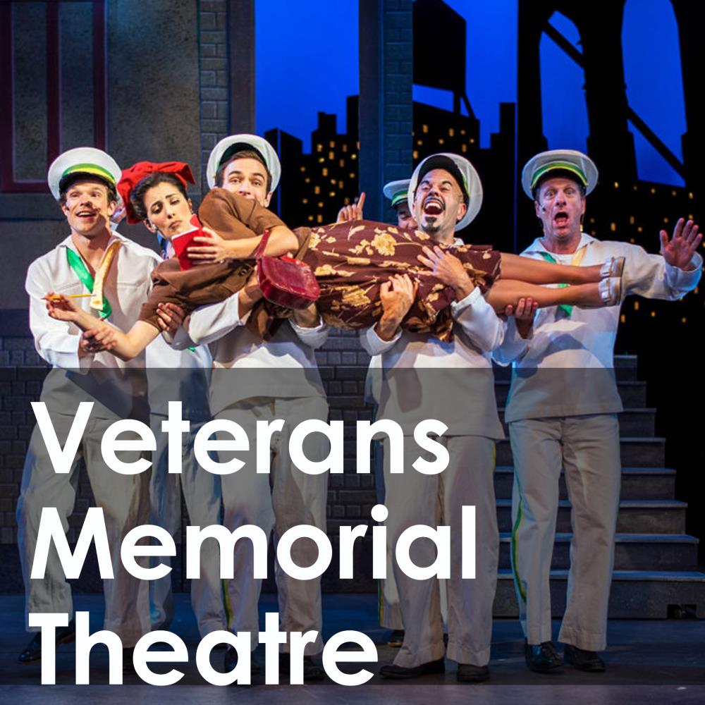 vets theatre button