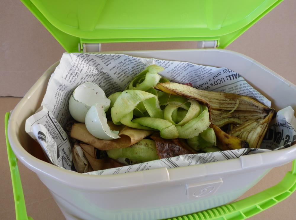 food waste pail