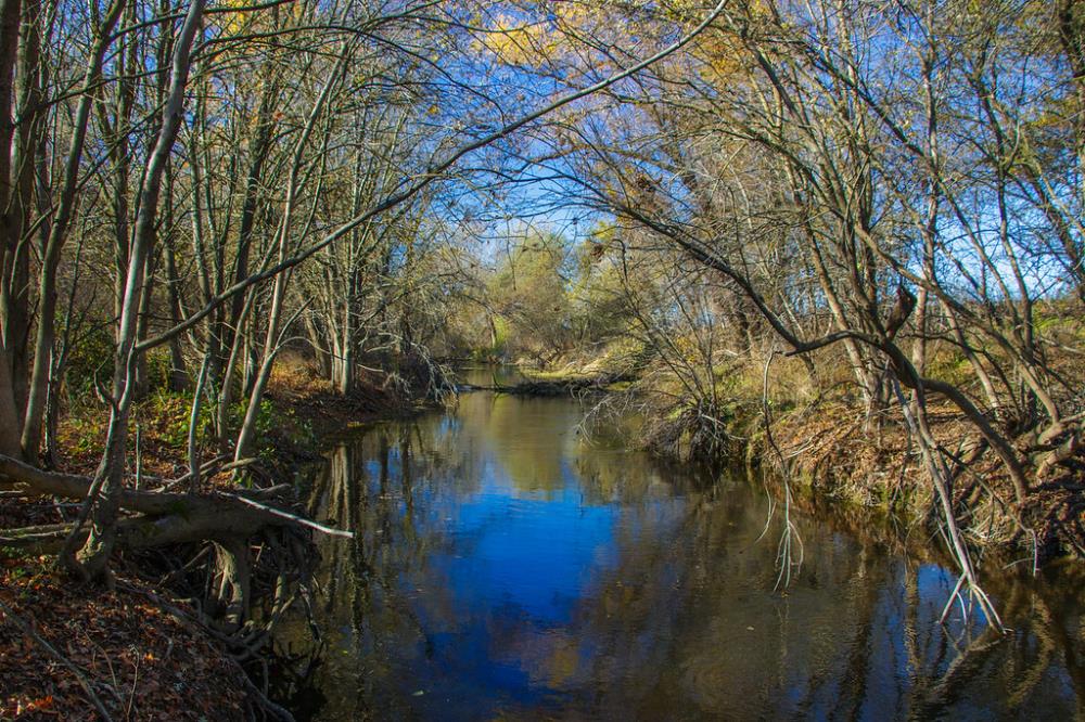 South Fork Preserve.6