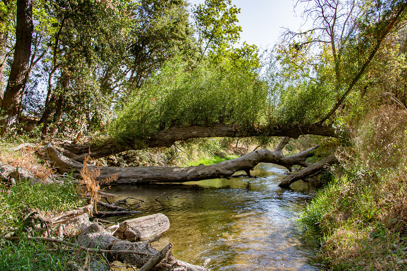 South Fork Preserve.7