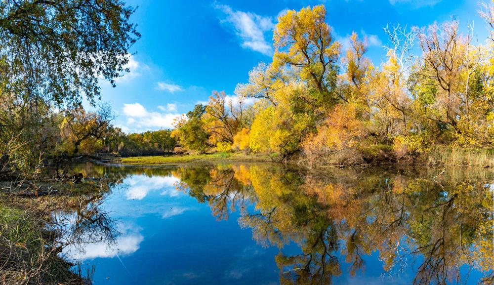 South Fork Preserve.8