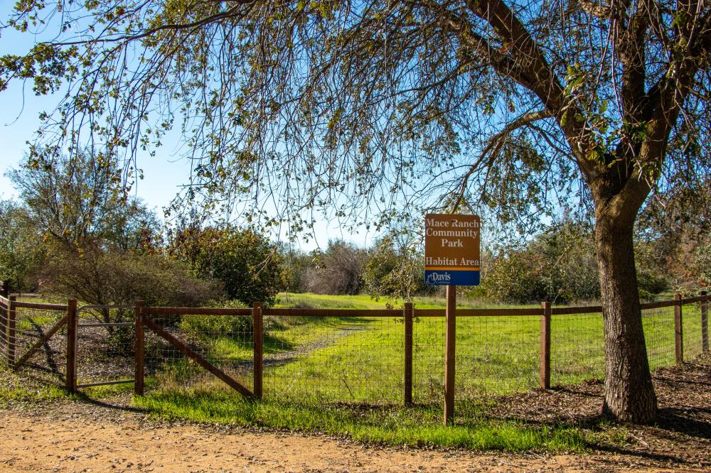 Mace Ranch Habitat.1