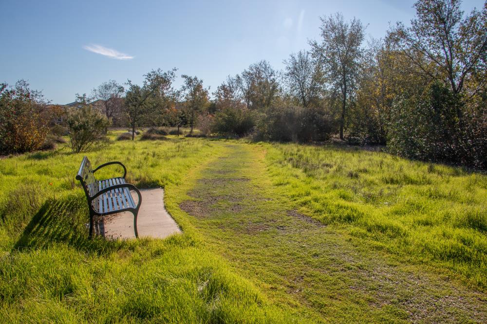 Mace Ranch Habitat.2