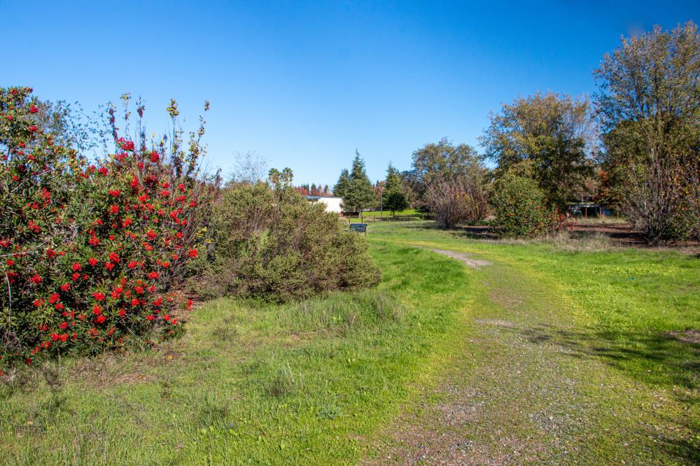 Mace Ranch Habitat.4