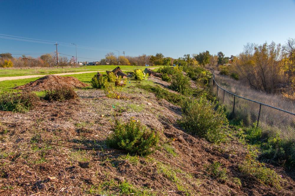 Upland Habitat.2