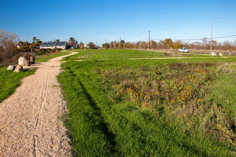 Upland Habitat.4