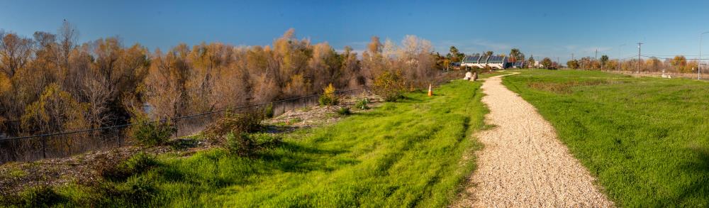 Upland Habitat.5