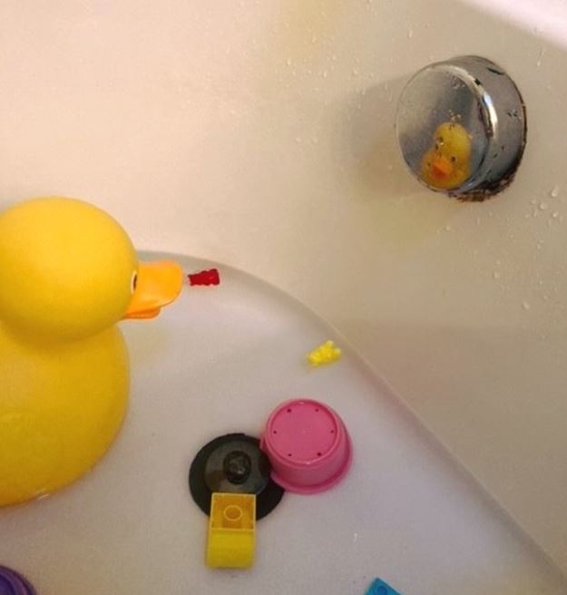 ducky wastewater