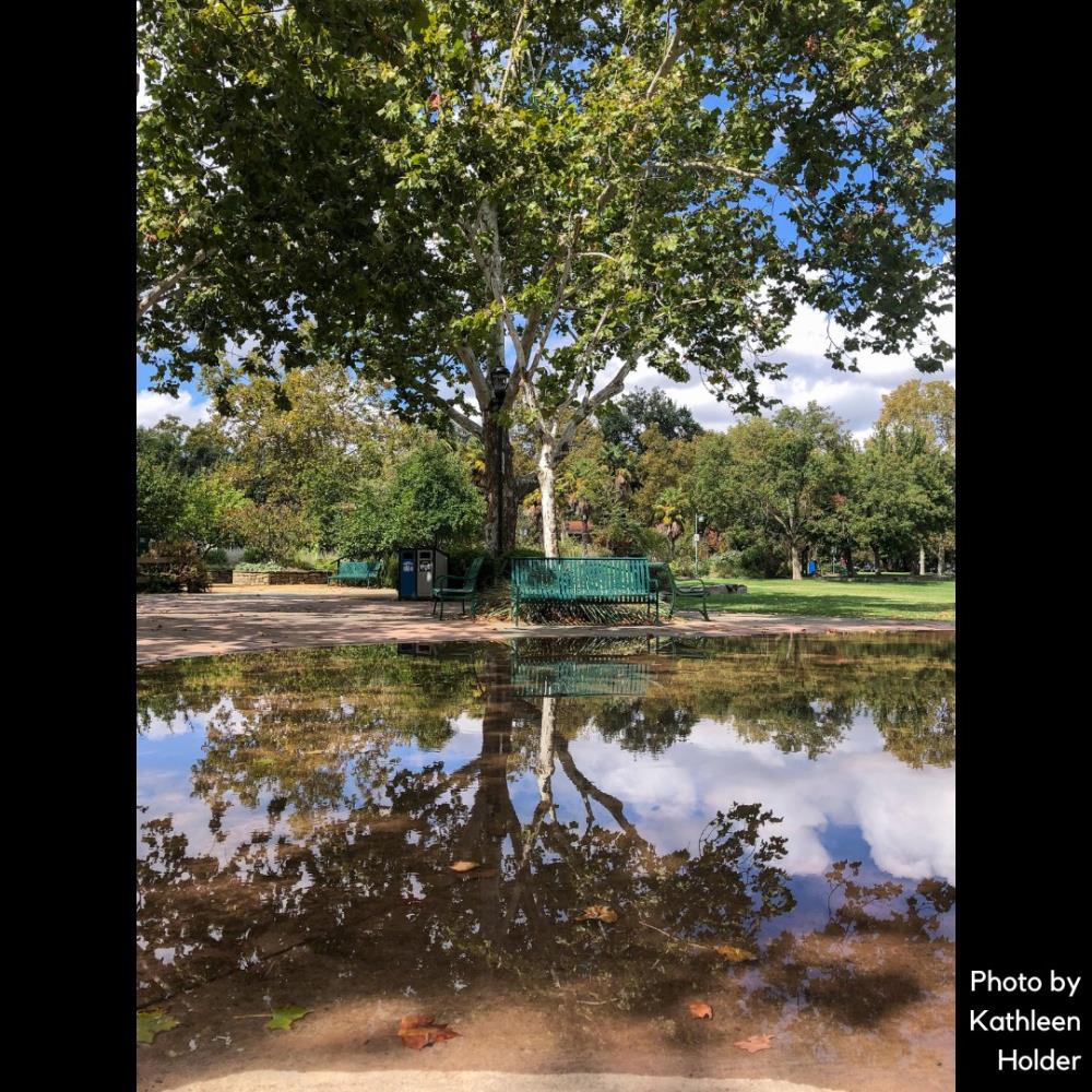 image of body of water, nature and tree with text that says "Photo by Kathleen Holder"