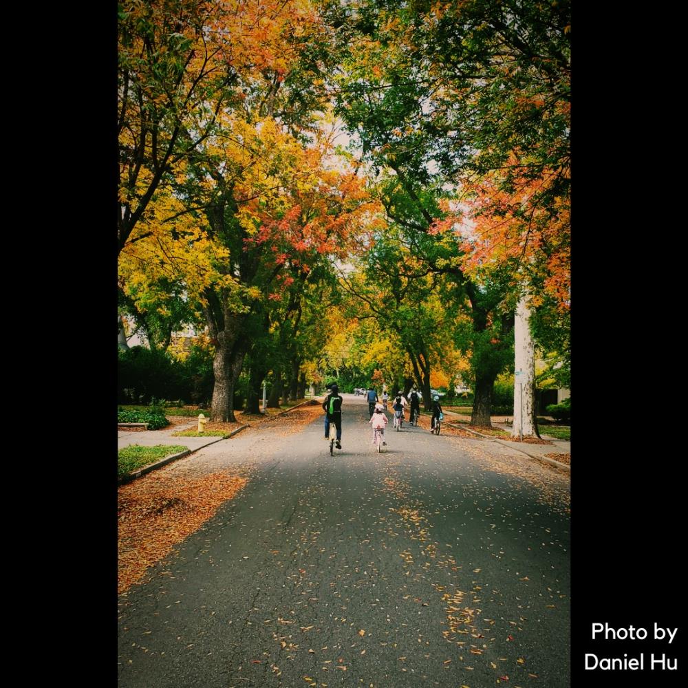 image of a person on a bike, trees, road, nature and text that says 'Photo by Daniel Hu'