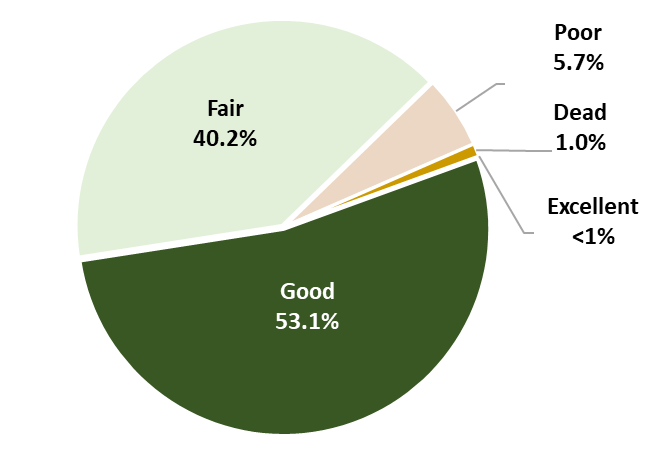 Tree Condition Pie Chart