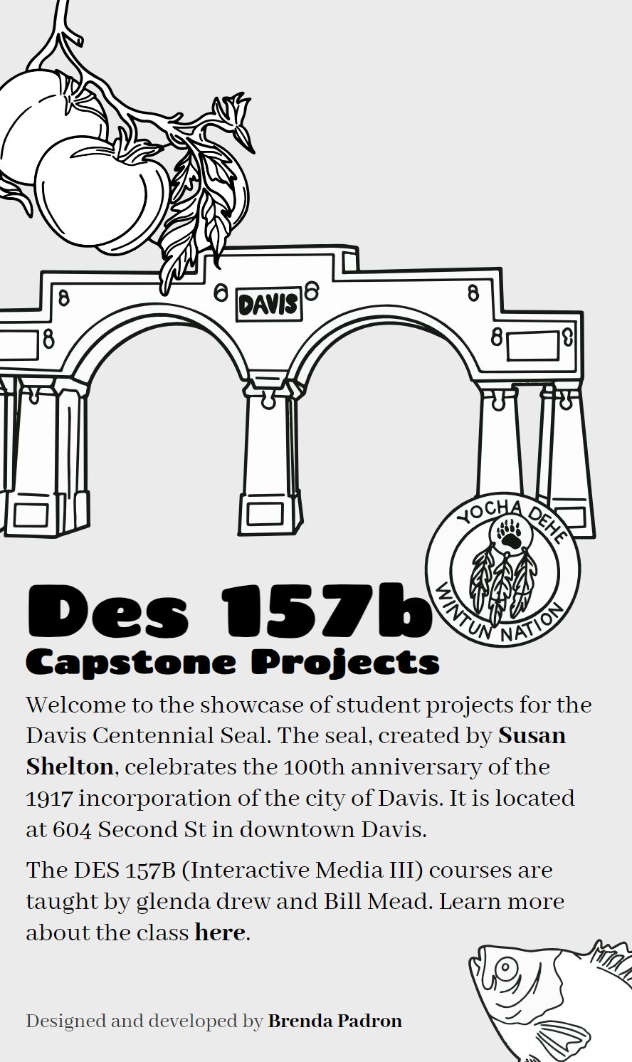 Des 157b capstone projects website image