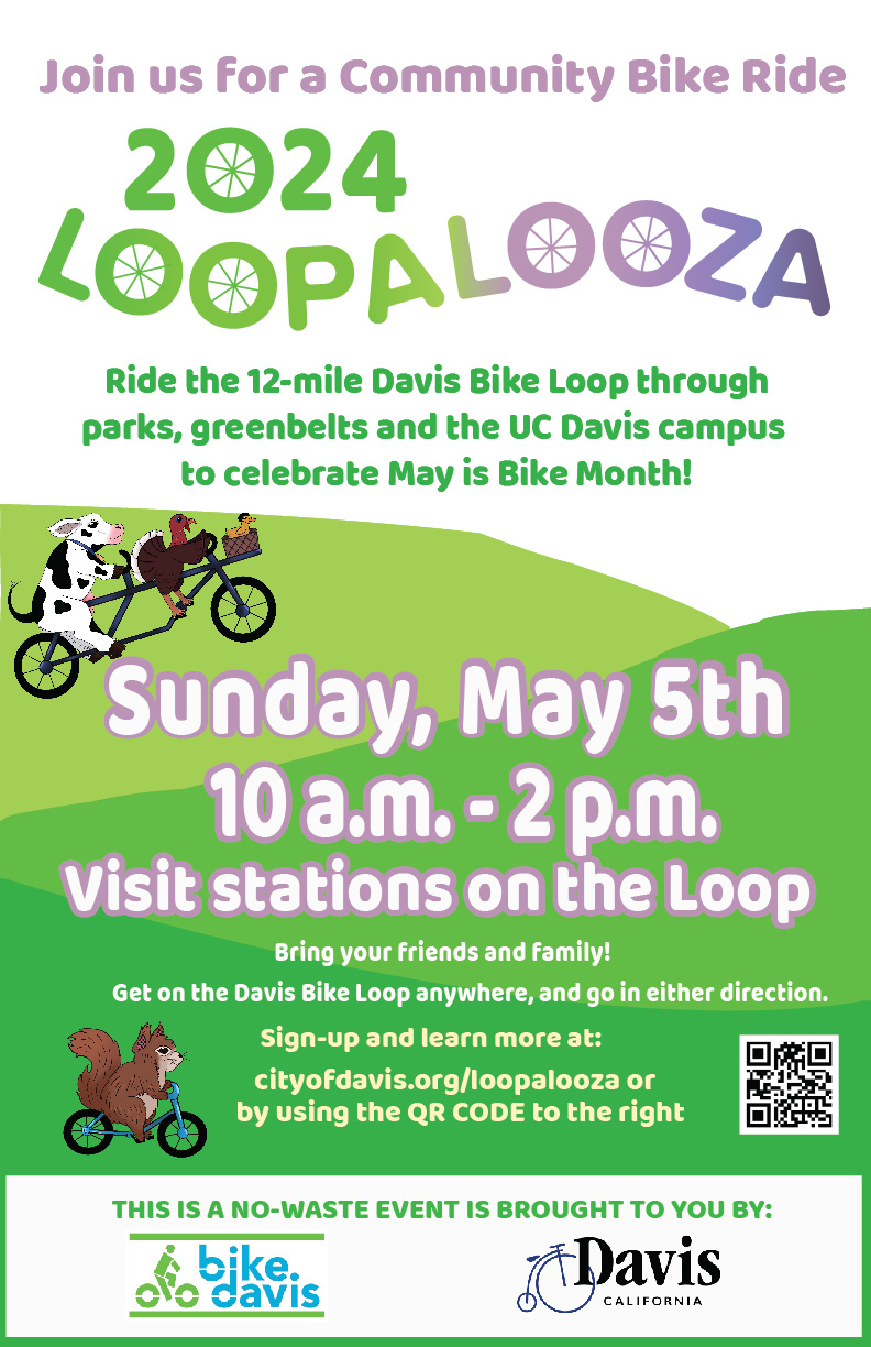 Loopalooza Flyer 2024