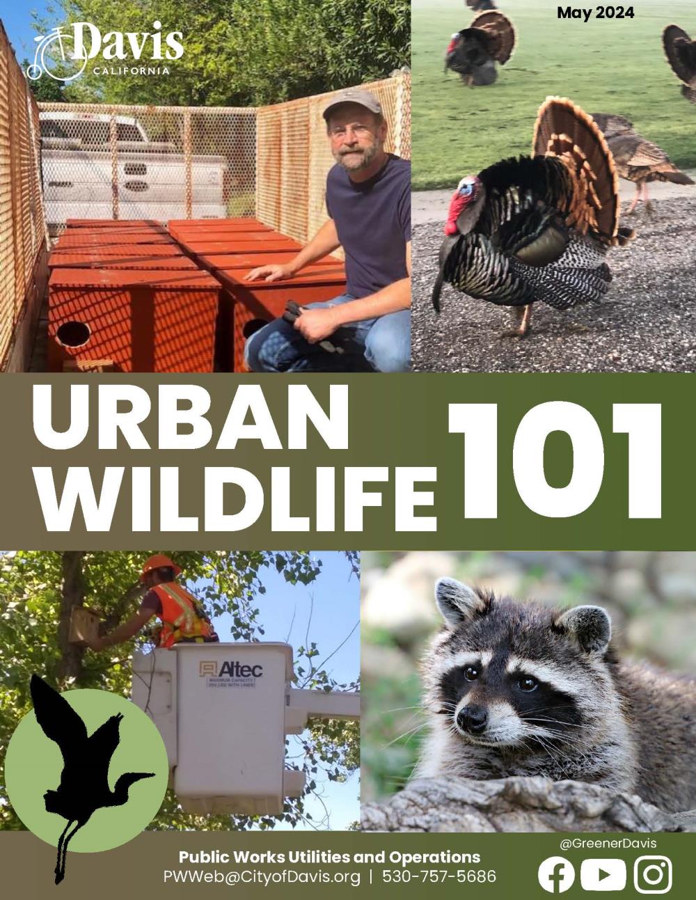 Wildlife101 image