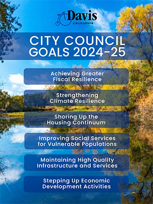 City Council Goals Poster