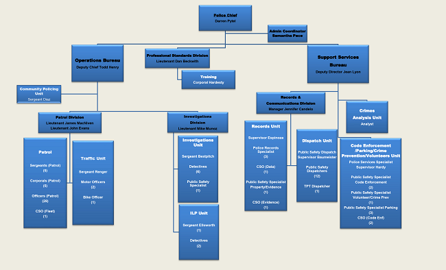 Davis Police Organization Chart - 2024