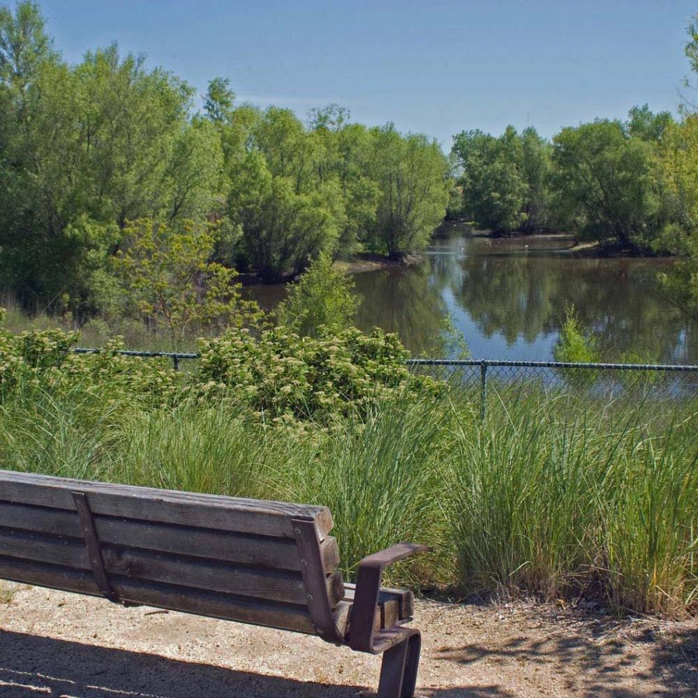 pond with bench