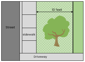 tree planting location