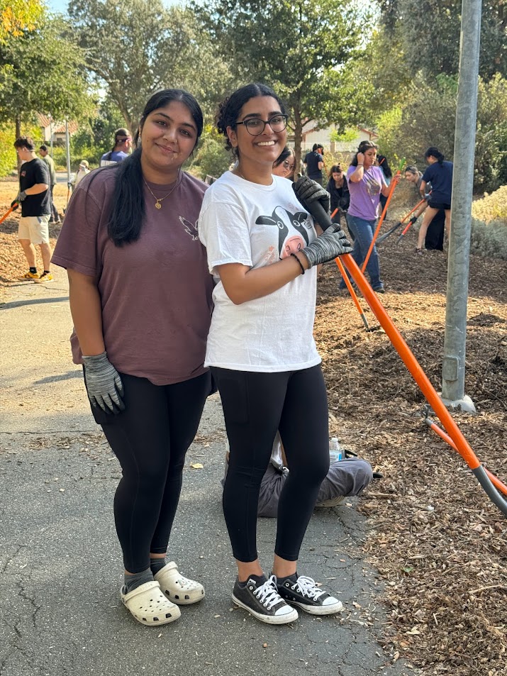 Volunteers mulching at Arroyo Park