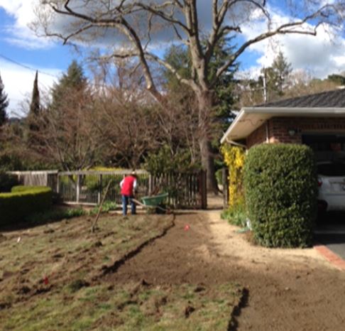 cutting sod