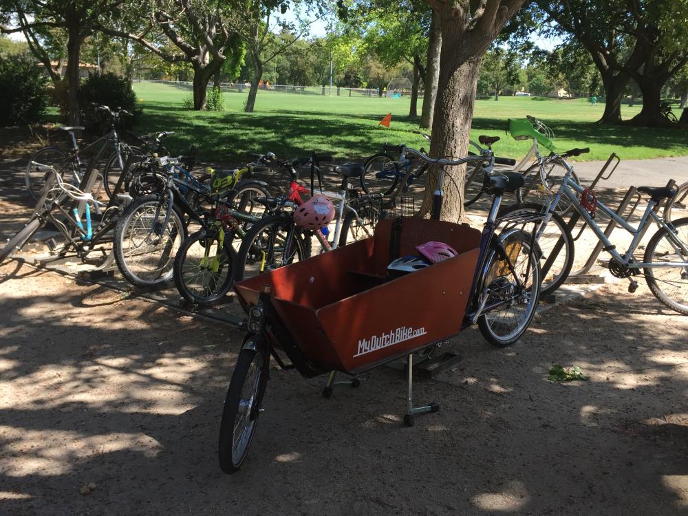 Bikes parked at library