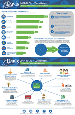 2018 Budget Infographic Link Image