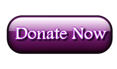 donate-now-button