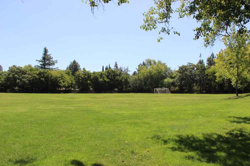 Westwood Park - Soccer Field(2)