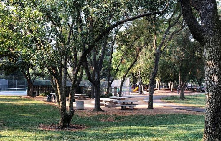 Slide Hill Park - Picnic Area (Large Group)#1