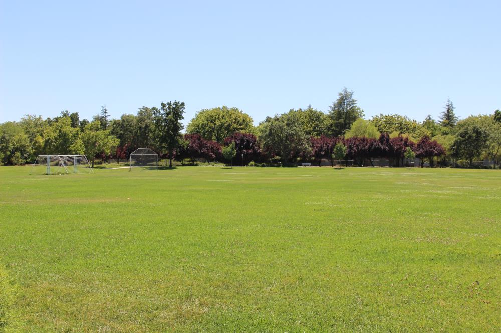 Sand Motley Park - Ballfields(8)