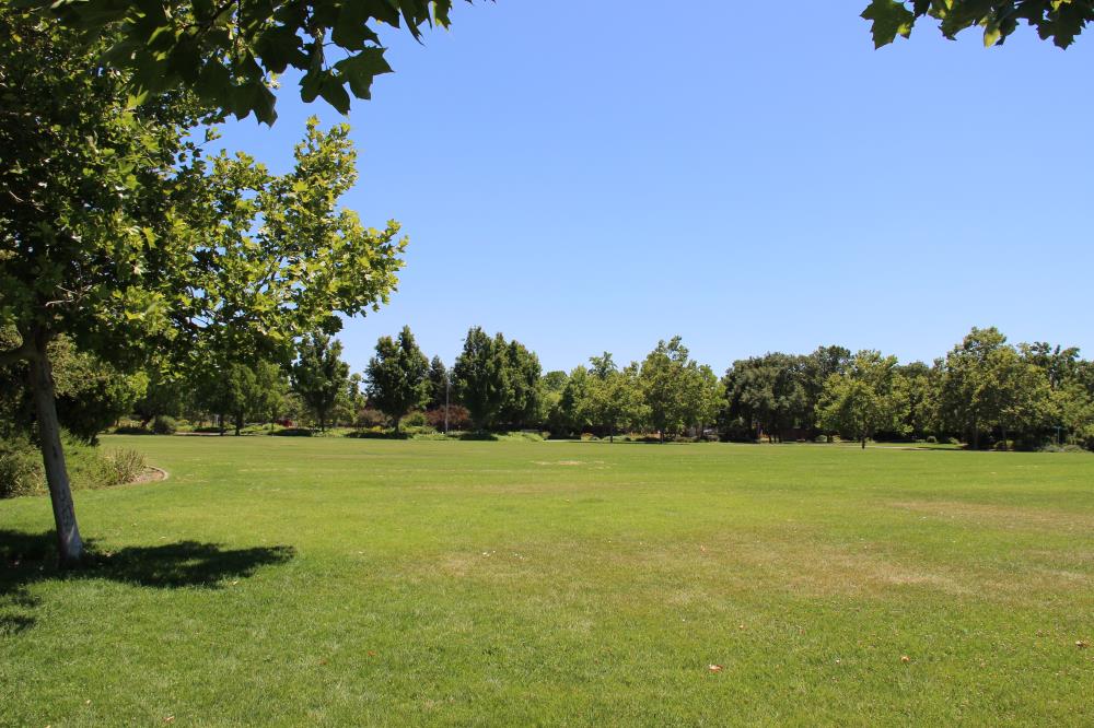 Robert Arneson Park - Soccer Field(2)