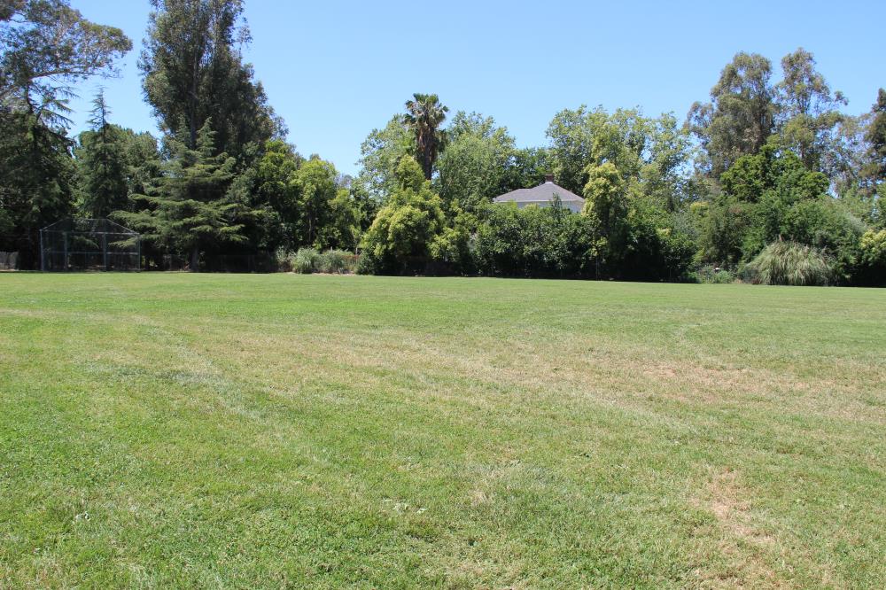 Putah Creek Park - Soccer Field(4)