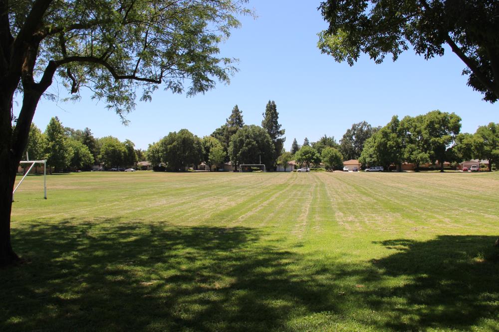 Pioneer Park - Soccer Field(3)