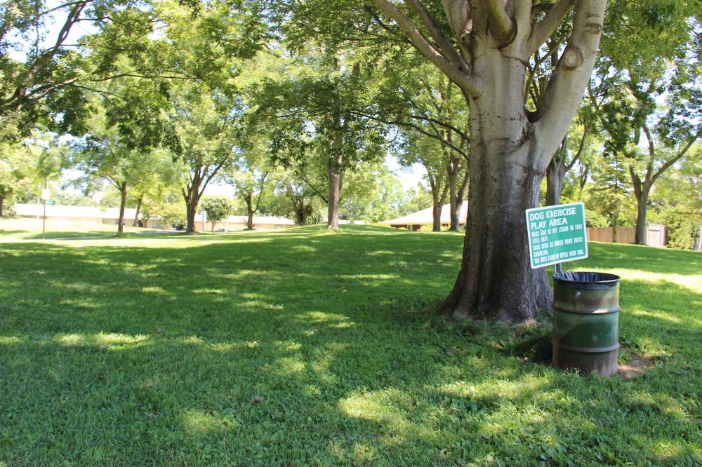 Pioneer Park - Off Leash Dog Exercise Area(1)