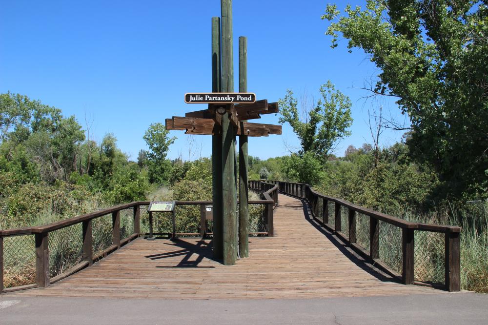 Northstar Park - Juile Partnasky Wildlife Pond (4)