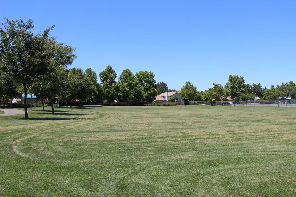 Mace Ranch Park - West Soccer Field(1)