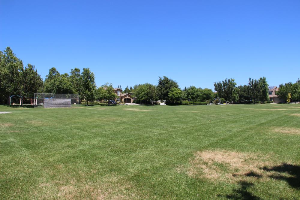 La Playa Park - Soccer Field(1)