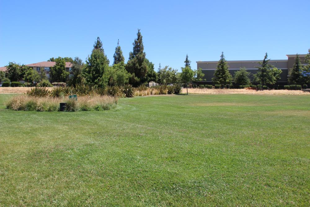 John Barovetto Park - Off Leash Dog Exercise Area