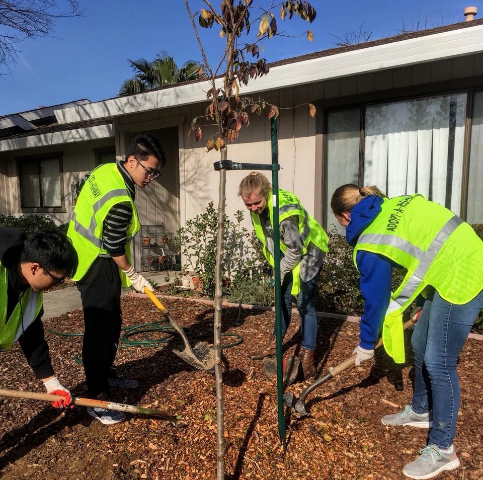 GlideDR_TDPlanting_12.9.17